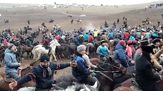 Шарбұлақ болған Бүгінгі Көкпардын ақыры. Ғалымжан Палуан Чемпион.