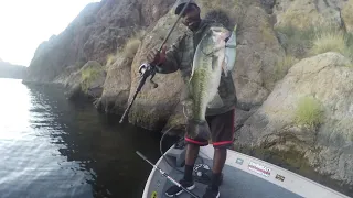 The Everyday Struggles Of Swimbait Fishing...(Ft. DesertBassin)