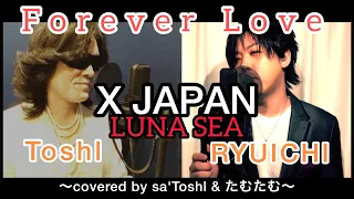 ToshI × RYUICHI『Forever Love』 愛のデュエット　byたむたむ
