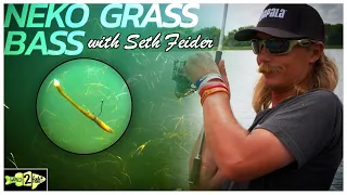 Seth Feider's Tips for Neko Rigging Summertime Bass