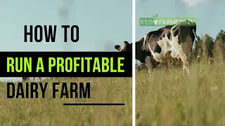 How to start and run a successful dairy farm - The FarmGuide Sn1 E1