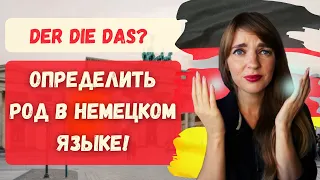 Род существительных в немецком языке. Как определить род существительных в немецком?