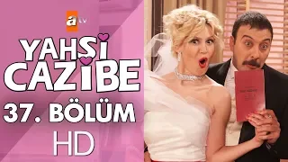 Yahşi Cazibe 37. Bölüm