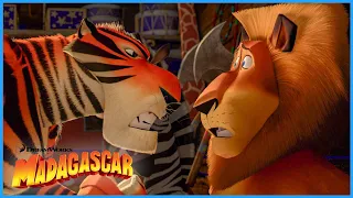 The Crew Join the Circus | Extended Preview | DreamWorks Madagascar