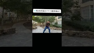 #接化发 #武术 #功夫 #马保国 #中国功夫 #传统功夫 #太极 #高手 #kungfu