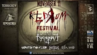 Psychonaut 4 Live at Redrum Fest 1080p
