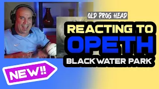 RETURN TO OPETH! 1ST LISTEN TO BLACKWATER PARK. OLD PROG HEAD REACTS