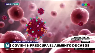 Coronavirus en Argentina, el análisis de la situación sanitaria