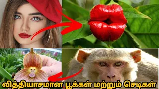 'Weirdest plant on Earth' | 'Strange plants' | 'Unusual Flowers' | FACTS OH FACTS