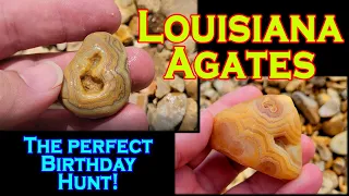 Louisiana Crowley Ridge Agates - A Perfect Birthday Hunt!