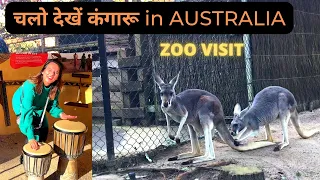 Taronga Zoo in Australia | Things To Do In Sydney | INDIANS IN AUSTRALIA