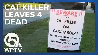 'Cat killer' leaves 4 dead; pet owners now 'paranoid'
