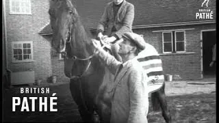 Atty Persse Retires Lambourn (1954)