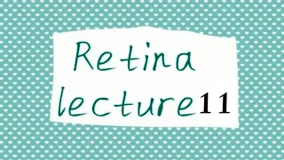 RETINA 11 | Retinoblastoma