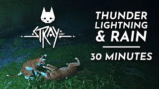 Storm Ambience, Rain, Thunder, Lightning, Cat Sounds | Stray | 30 Minutes
