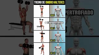 treino de ombro halteres #shorts