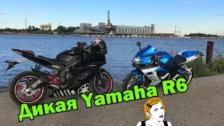 Дикая Yamaha R6 Тестдрайв Спортбайка