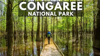 Congaree National Park: 24 Hours Kayaking and Hiking in South Carolina