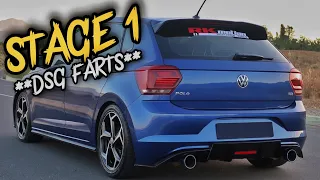 THIS VW POLO TSI SOUNDS **INSANE** | DSG FARTS & MORE !!