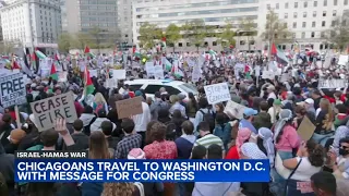 Thousands call for ceasefire at pro-Palestinian protest in Washington, D.C.