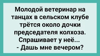 Молодой Ветеринар Пристал к Дочке Председателя! Сборник Свежих Смешных Жизненных Анекдотов!