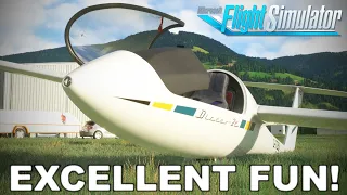 Some of THE BEST fun I have had in MSFS! | Got Friends Discus 2C | Microsoft Flight Simulator