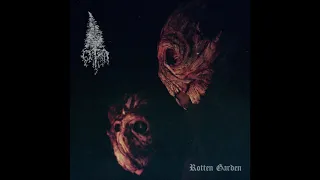 Grima - Cedar and Owls (2021)