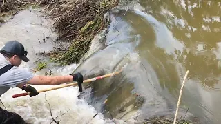 Highway 79 Beaverdam removal.