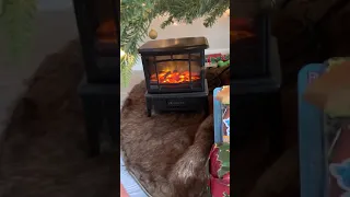 OPOLAR Mini Portable Electric Fireplace Heater Review, And definitely helps me warm up a specific sp