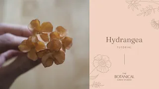 Hydrangea Sugar Flower Tutorial (Gumpaste / Flower Paste)