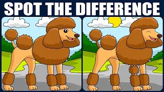 Spot The Difference: Can You Find Them All? [ Find The Difference #110]