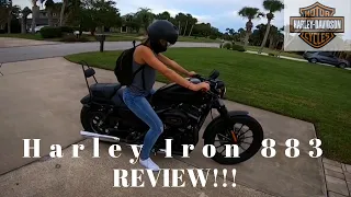 HARLEY IRON 883 REVIEW! Reliable? How Much Did I Pay??