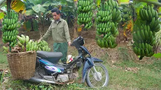 50 days with my beautiful girlfriend gardening, go to market. My wonderful love