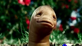 worm ytp Msn commercial