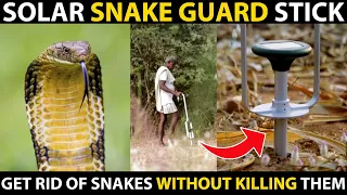 SOLAR SNAKE GUARD STICK | Solar Snake Repeller / Repellent | Get Rid of Snakes without Killing Them