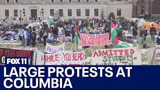 Protests at Columbia, other colleges escalate