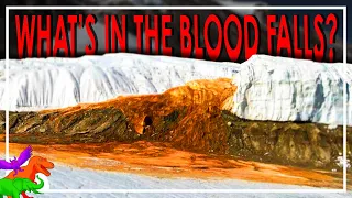 The Oddity of the Blood Falls of Antarctica and their Alien Inhabitants