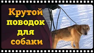 Классный поводок для собаки сделанный своими руками.