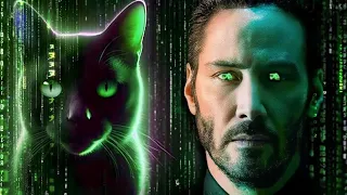 The Matrix Cat is Not What You Think | MATRIX EXPLAINED