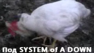 Броллер  Тащится от System of A down