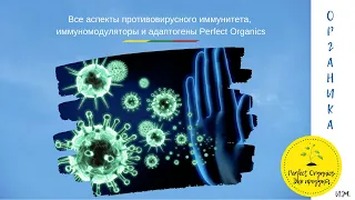 Все аспекты противовирусного иммунитета, иммуномодуляторы и адаптогены Perfect Organics.