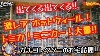 激レアミニカー大量!!ホットウィール！トミカ！大量すぎて全部見れないぞ?!ガチコレクターのお宅訪問!!#ホットウィール#hotwheels#ミニカー#トミカ#紹介#ロメオ#コレクション#レア