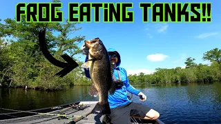 FROGGIN' ONLY For COASTAL RIVER Tanks!! || Spring Bass Fishing