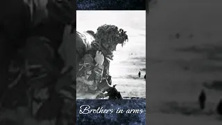 #brothersinarms #markknopfler #war #soldier #brotherhood #femaleversion  #acousticguitar #acoustic
