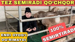 14 YOSHLIK UKAMIZ OSIYODA YAGONA QO‘YXONA IXTIRO QILDI