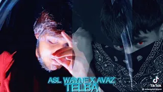 asl wayne telba