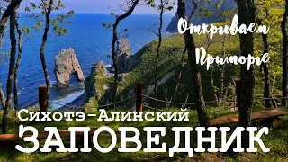 Открываем Приморье. Сихотэ-Алинский заповедник. День 3.  Озеро Благодатное и Бухта Голубичная