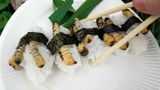 Japanese LOVE this BUG LARVA SUSHI【ENG SUB】