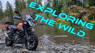 Solo Exploring in the Cascades on the KTM 390 Adventure