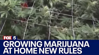 New NY rules for growing marijuana at home